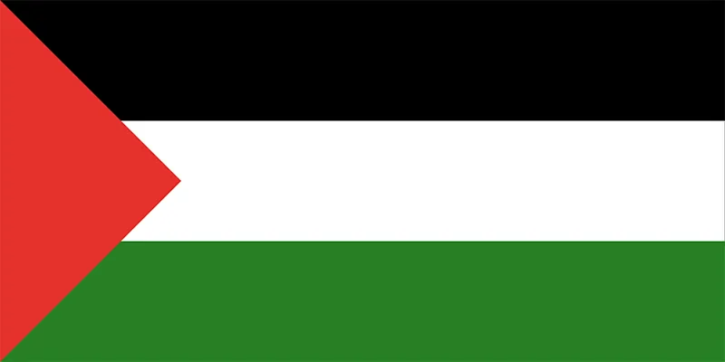 the flag of the state of palestine